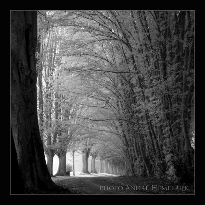 reportage P. André hemelrijk (1)