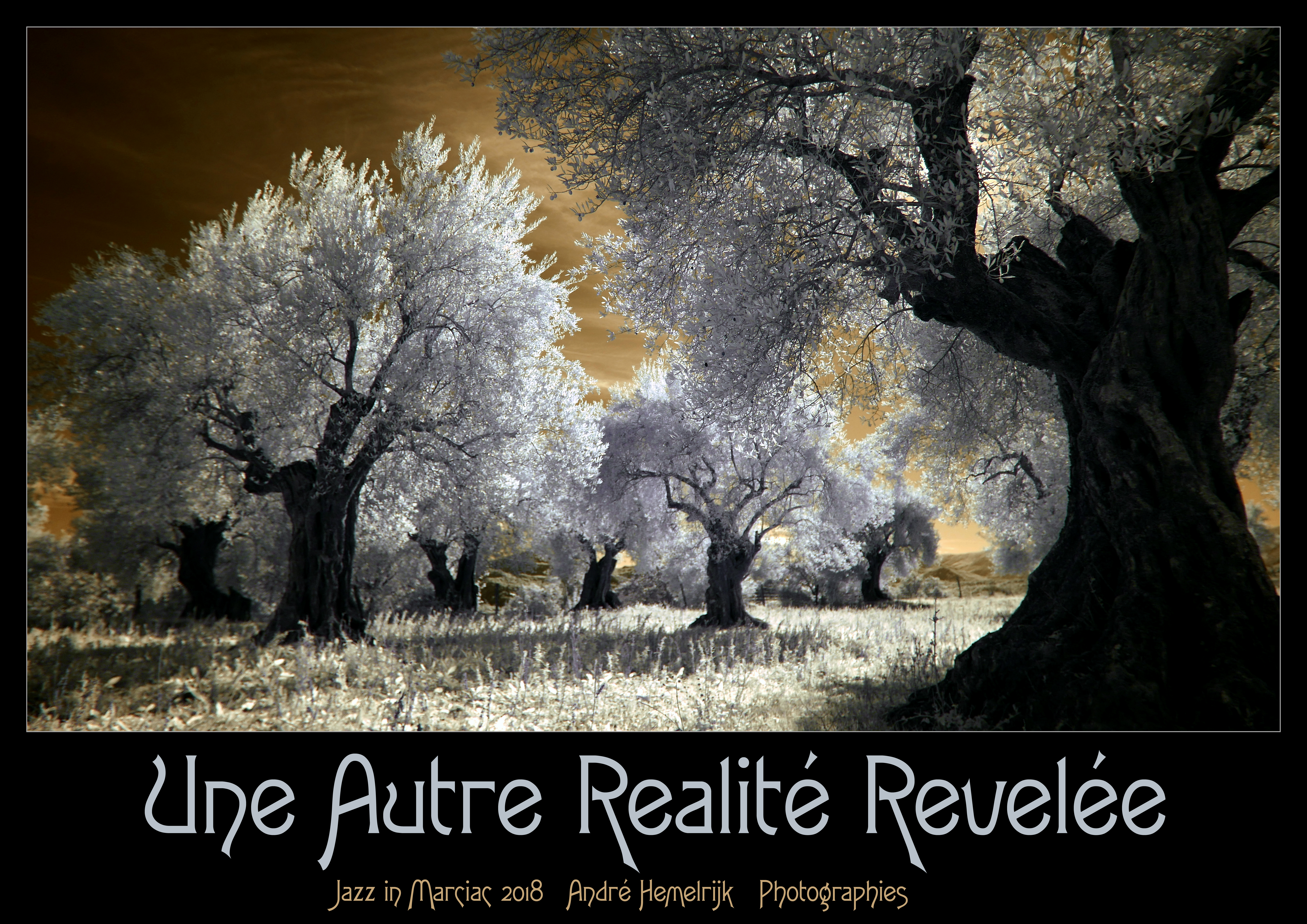 Une Autre Realité Revelée Jazz Marciac 2018 photographies André Hemelrijk
