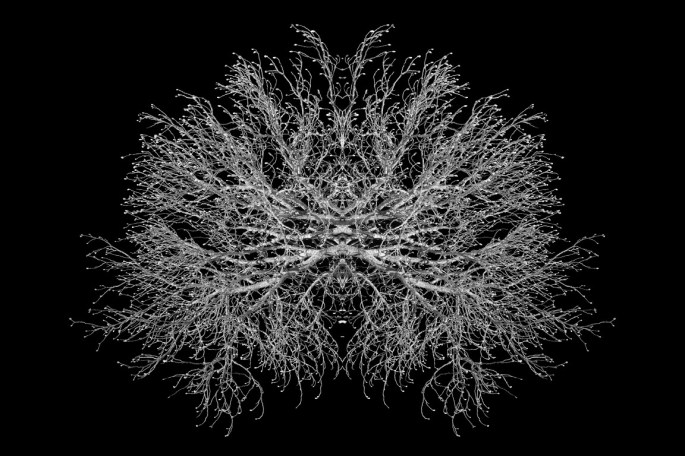 La Reine des Abeilles André Hemelrijk 2020